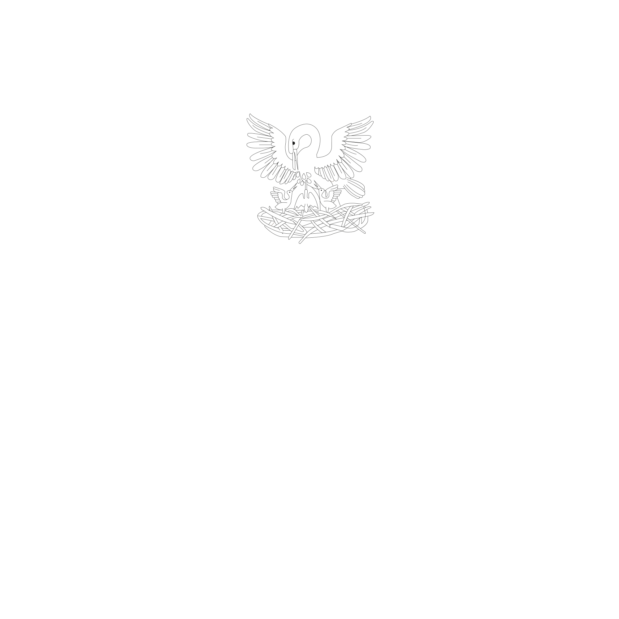 Ferreira Pellicano
